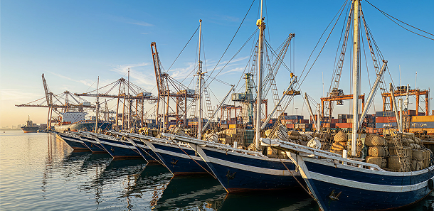 BIDUK SHIPPING WORLD